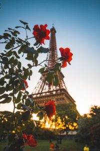 Rote Rosen vor dem Eifelturm als Symbol der COP21 Bewegung